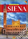 Siena. Stadt des Palio libro di Vantaggi Rosella