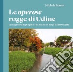 Le operose rogge di Udine. La lunga storia degli opifici e dei mulini nel borgo di Sant'Osvaldo