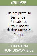 Un arciprete ai tempi del Passatore. Vita e morte di don Michele Morini