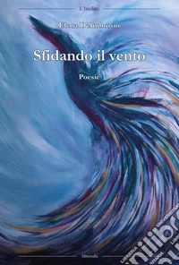 Sfidando il vento