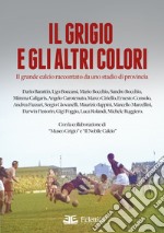 Il grigio e gli altri colori. Il grande calcio raccontato da uno stadio di provincia. Ediz. illustrata libro