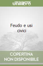 Feudo e usi civici
