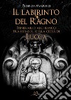 Il labirinto del ragno. Itinerario alchemico tra i simboli della città di Lucca libro