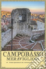 Campobasso meravigliosa. Storie quotidiano del capoluogo molisano libro