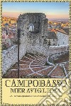 Campobasso meravigliosa. Storie quotidiano del capoluogo molisano libro di Carosella Alfredo