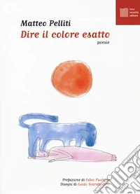 Dire il colore esatto
