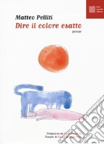 Dire il colore esatto libro