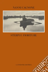 Sterpi e fioriture