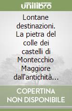 Lontane destinazioni. La pietra del colle dei castelli di Montecchio Maggiore dall'antichità a oggi libro