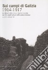 Sui campi di Galizia (1914-1917) libro