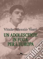 Un adolescente in fuga per l'Europa libro