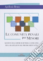 Le comunità penali per minori. Adozione delle misure di sicurezza e linee guida per la realizzazione del percorso rieducativo libro