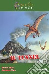 Il tunnel libro