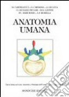 Anatomia umana libro