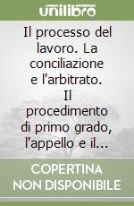 Il processo del lavoro. La conciliazione e l'arbitrato. Il procedimento di primo grado, l'appello e il ricorso per la Cassazione. L'esecuzione forzata... libro