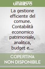 La gestione efficiente del comune. Contabilità economico patrimoniale, analitica, budget e reporting libro