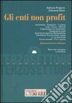 Gli enti non profit. Con CD-ROM libro