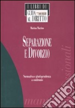 Separazione e divorzio. Normativa e giurisprudenza a confronto libro