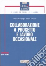 Collaborazione a progetto e lavoro occasionale libro