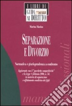 Separazione e divorzio. Normativa e giurisprudenza a confronto libro