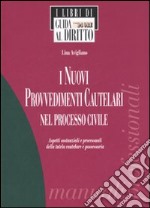 I nuovi provvedimenti cautelari nel processo civile. Aspetti sostanziali e processuali della tutela cautelare e possessoria