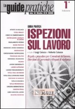 Ispezioni sul lavoro. Regole e procedure per consulenti del lavoro, direzioni del personale e organi di vigilanza libro