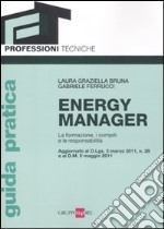 Energy manager. La formazione, i compiti e le responsabilità