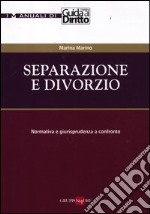 Separazione e divorzio. Normativa e giurisprudenza a confronto libro