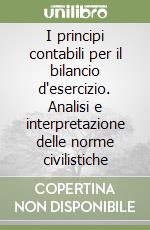 I principi contabili per il bilancio d'esercizio. Analisi e interpretazione delle norme civilistiche