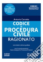 Codice di procedura civile ragionato libro