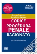 Codice di procedura penale ragionato libro