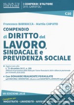 Compendio di diritto del lavoro, sindacale e della previdenza sociale. Con aggiornamento online libro