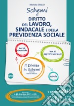 Schemi di diritto del lavoro, sindacale e della previdenza sociale libro