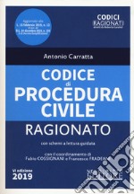 Codice di procedura civile ragionato libro