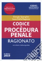 Codice di procedura penale ragionato libro