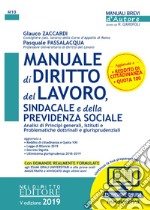 Manuale di diritto del lavoro, sindacale e della previdenza sociale. Con espansione online libro