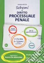 Schemi di diritto processuale penale libro