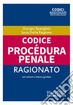 Codice di procedura penale ragionato libro