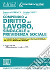 Compendio di diritto del lavoro, sindacale e della previdenza sociale. Con aggiornamento online libro di Barracca Francesco Caputo Mattia