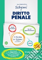 Schemi di diritto penale. Parte generale e speciale libro