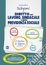 Schemi di diritto del lavoro, sindacale e della previdenza sociale libro