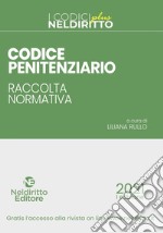 Codice penitenziario. Raccolta normativa. Nuova ediz. Con Contenuto digitale per accesso on line libro