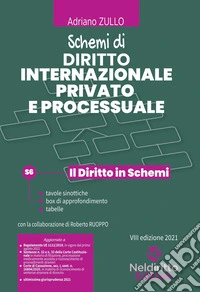 Schemi di diritto internazionale privato e processuale