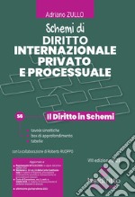 Schemi di diritto internazionale privato e processuale libro