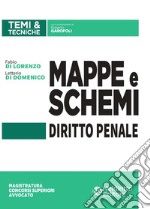 Mappe e schemi di diritto penale libro