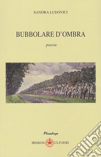 Bubbolare d'ombra libro