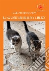 Le avventure di Bitzy e Betzy libro di D'Alfonso Maria Rosaria