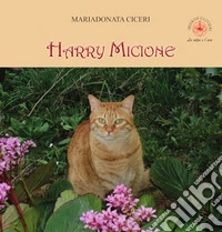 Harry micione