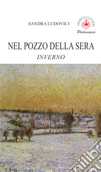 Nel pozzo della sera. Inverno libro