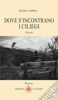 Dove s'incontrano i ciliegi libro